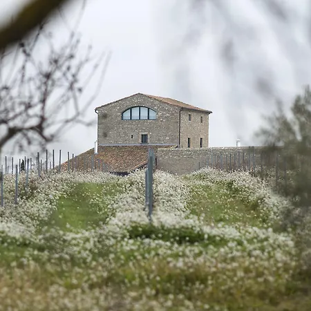 La Torre Del Codina Tárrega